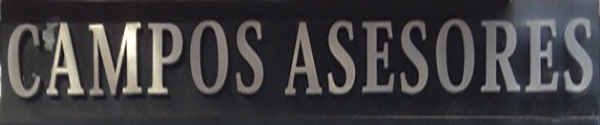 CAMPOS ASESORES,S.L.